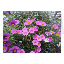 Cartão "Rosa e Roxo"