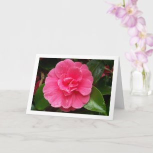 Cartão Rosa Floral Cor-de-Rosa