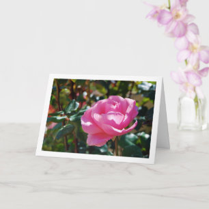 Cartão Rosa Floral Jardim Rosa