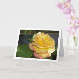 Cartão Rosa Floral Rosa e Amarela
