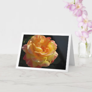 Cartão Rosa Floral Rosa e Amarela