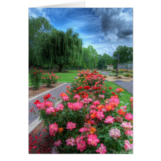 Cartão Rosa Garden (Frente)