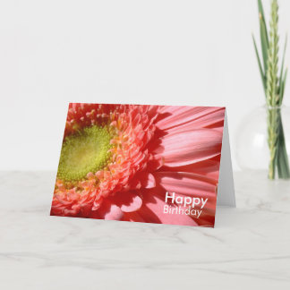 Cartão Rosa Gerbera - Feliz Aniversário