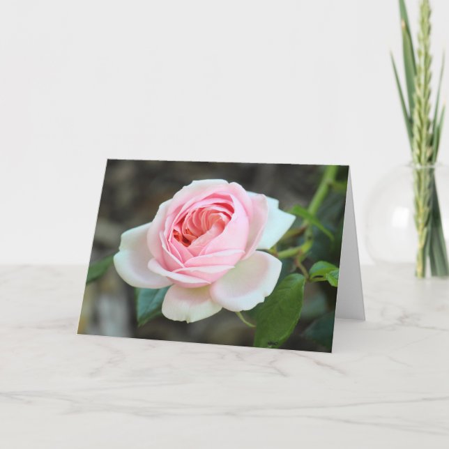 Cartão Rosa "Joie de Vivre", Roath Park, Cardiff (Frente)