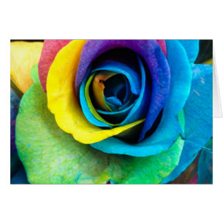 Cartão Rosa multicolorido pelo Snapaddy, pode personaliza