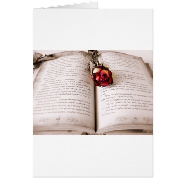 Cartão Rosa na bíblia (Frente)