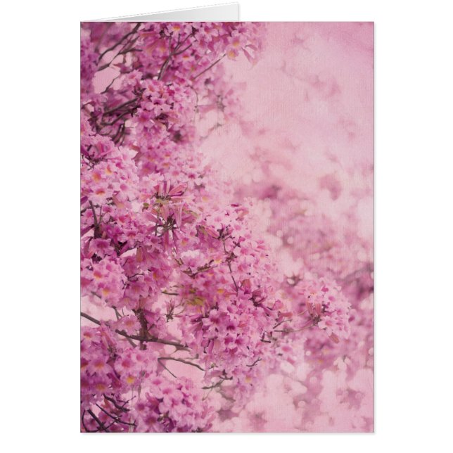 Cartão Rosa no rosa (Frente)