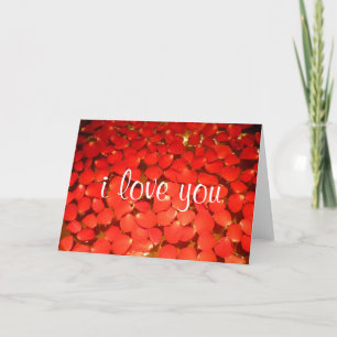 Cartão rosa petal amor