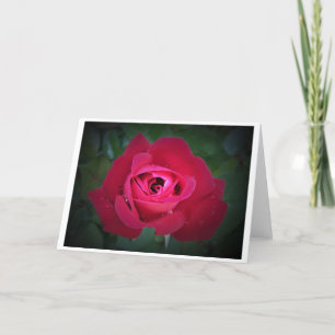 Cartão Rosa, placa