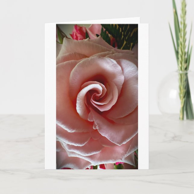 Cartão Rosa, placa (Frente)