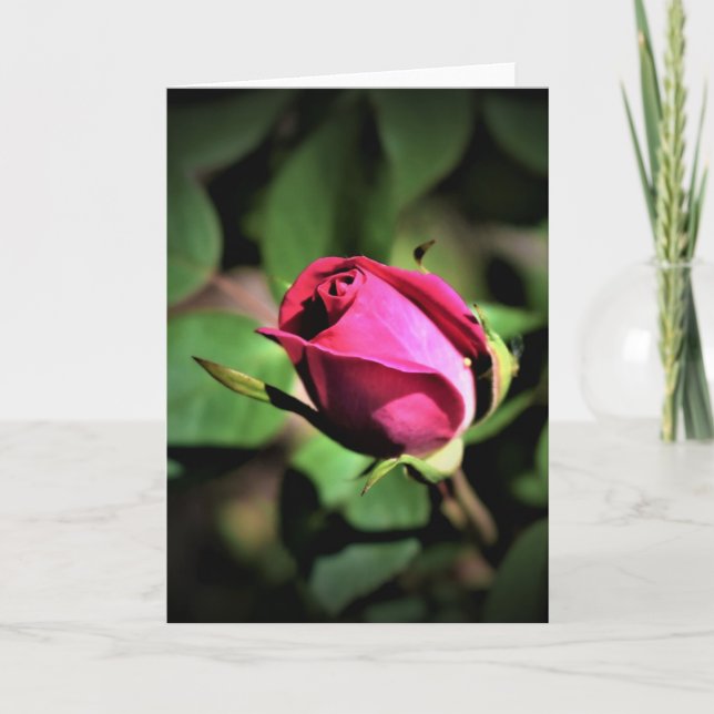 Cartão Rosa, placa (Frente)