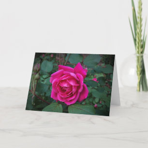 Cartão Rosa, placa