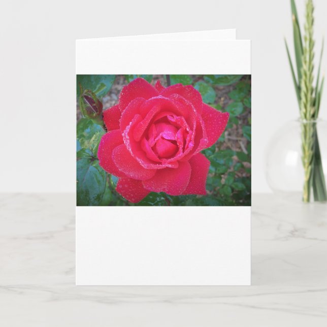 Cartão Rosa, placa (Frente)