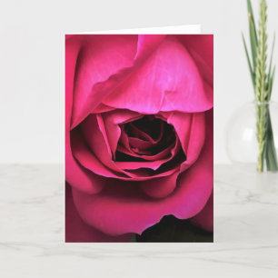 Cartão Rosa, placa