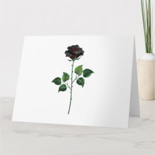 Cartão Rosa preto