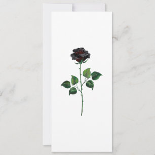 Cartão Rosa preto
