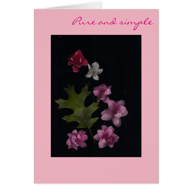 Cartão Rosa puro (Frente)