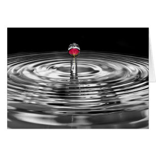 Cartão Rosa Ripplado