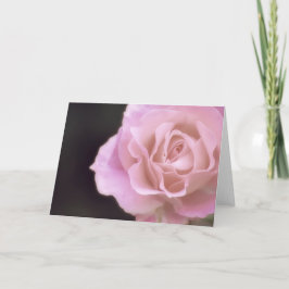 Cartão Rosa rosa magnífica