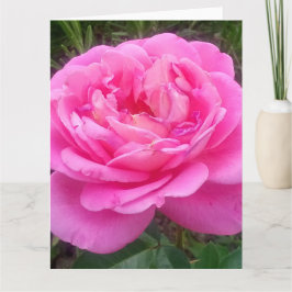 Cartão Rosa Rosa Romântica "Leonardo Da Vinci"