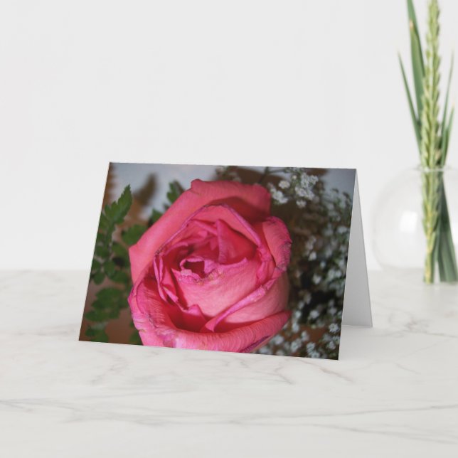 Cartão Rosa Rosa Rosa (Frente)