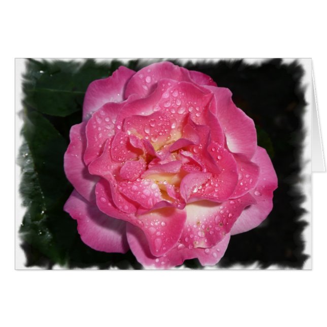 Cartão Rosa Rosa Rosa (Frente horizontal)