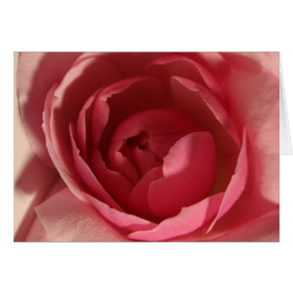 Cartão Rosa Rosa Rosa