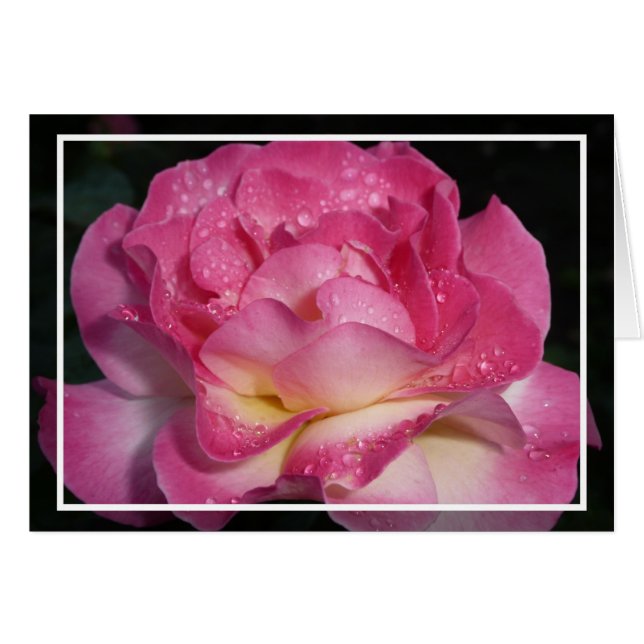 Cartão Rosa Rosa Rosa (Frente horizontal)