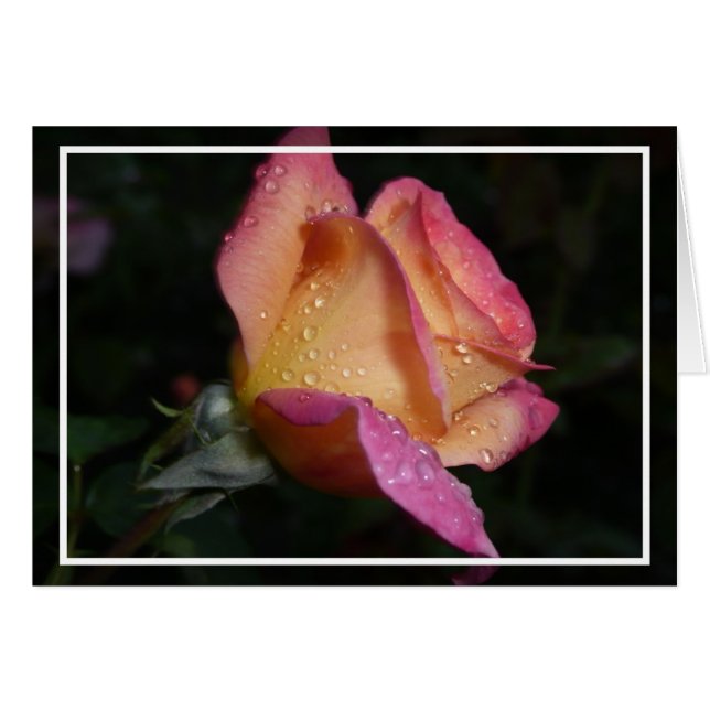 Cartão Rosa Rosa Rosa (Frente Horizontal)