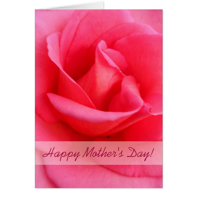 Cartão Rosa Rosa Rosa dia de as mães (Frente)