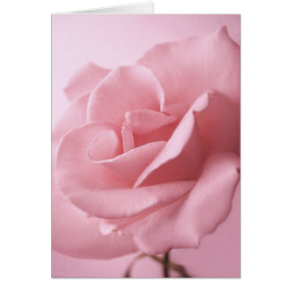 Cartão Rosa Rosa Rosa Rosa Rosa Rosa Rosa Rosa