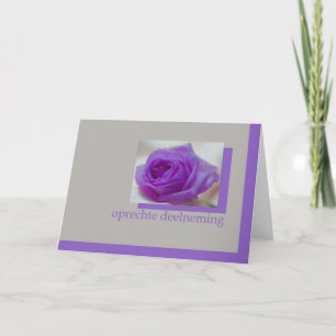 Cartão rosa roxo na cinza dutch sypathcard