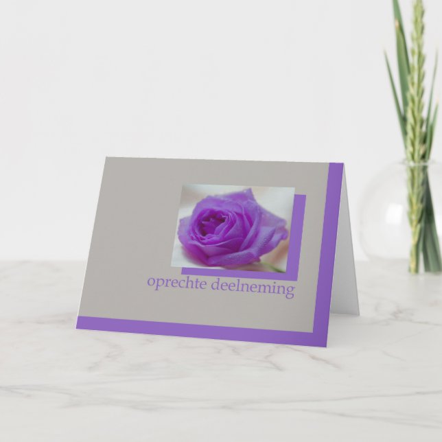 Cartão rosa roxo na cinza dutch sypathcard (Frente)