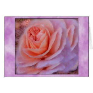 Cartão Rosa solteiro de Pêssego do 