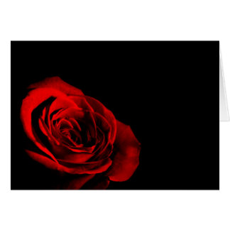 Cartão Rosa vermelha