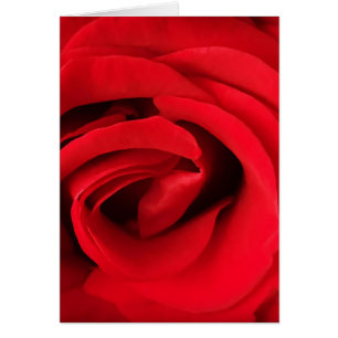 Cartão Rosa Vermelha