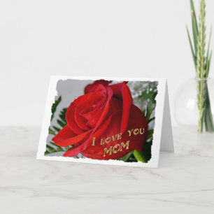 Cartão Rosa vermelha Aniversário. Amo-te mãe