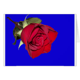Cartão Rosa Vermelha com Fundo Azul