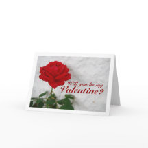 Rosa Vermelha contra Parede Branca