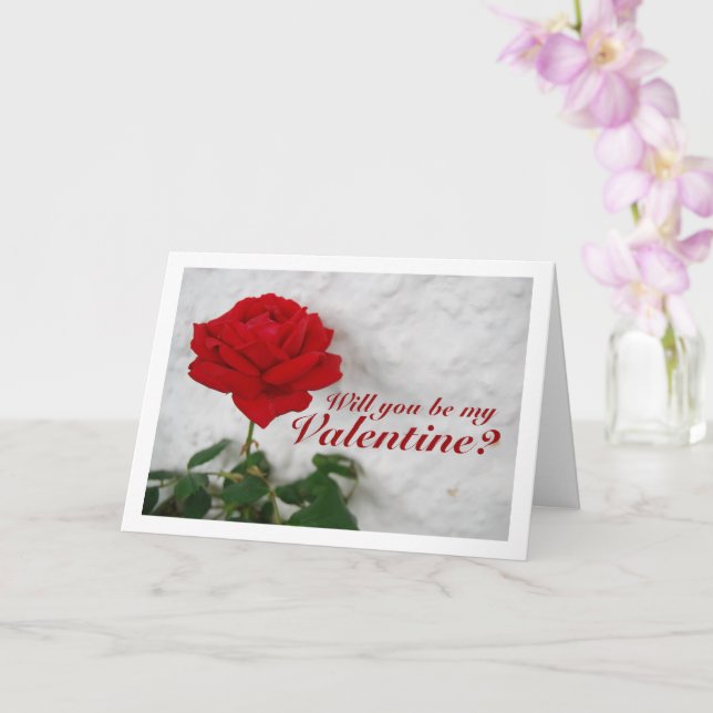 Cartão Rosa vermelha contra parede branca (Orquídea)