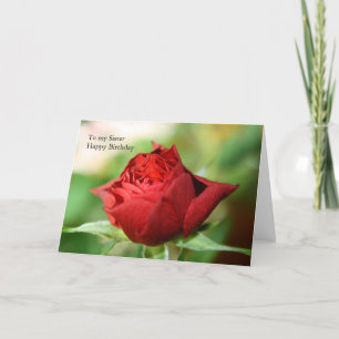 Cartão Rosa vermelha De solteiro Para A Minha Irmã Feliz