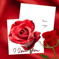 Rosa Vermelha Elegante com Letreiro "Eu Te Amo"