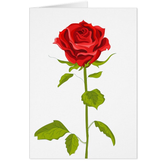 Cartão Rosa vermelha Floral Rosas Flores Amor (Frente)