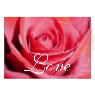 Cartão Rosa vermelha Love