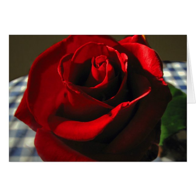 Cartão Rosa vermelha Mães (Frente Horizontal)