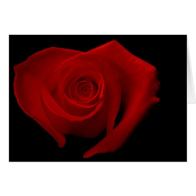 Cartão Rosa vermelha no preto (Frente horizontal)