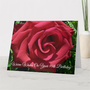 Cartão Rosa vermelha Personalizada 95.o aniversário