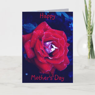 Cartão Rosa vermelha - Placa do Dia de as mães