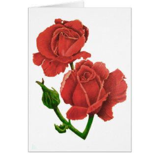 Cartão Rosas