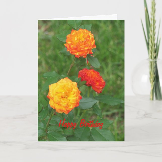 Cartão Rosas Amarelas e Laranja, Aniversário Especial (Frente)